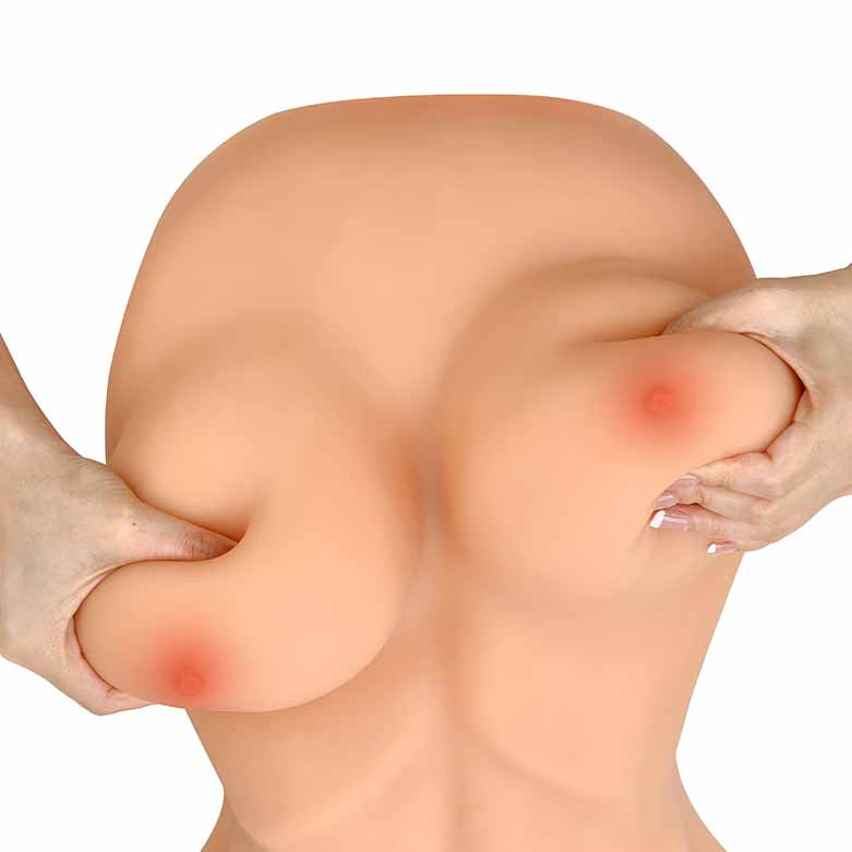 2.5 kg Torso Masturbator - LJ2001